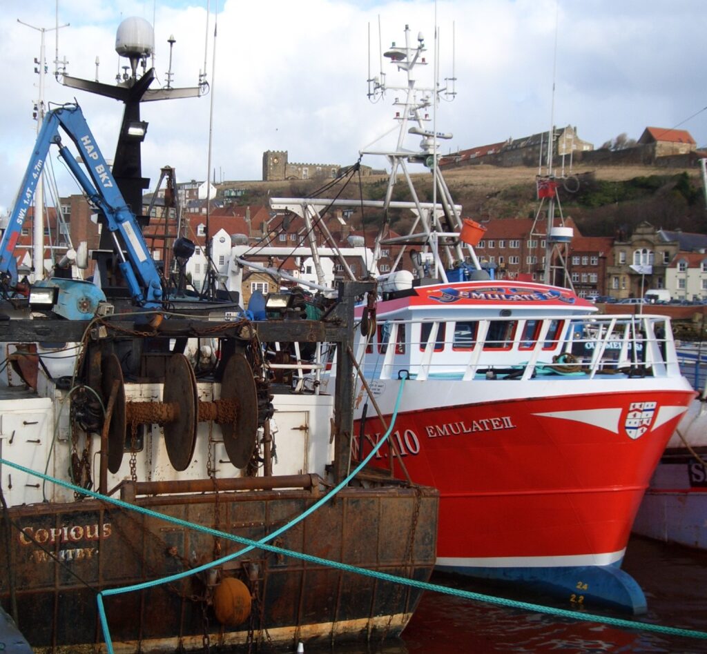 Fishing Boats in Harbour