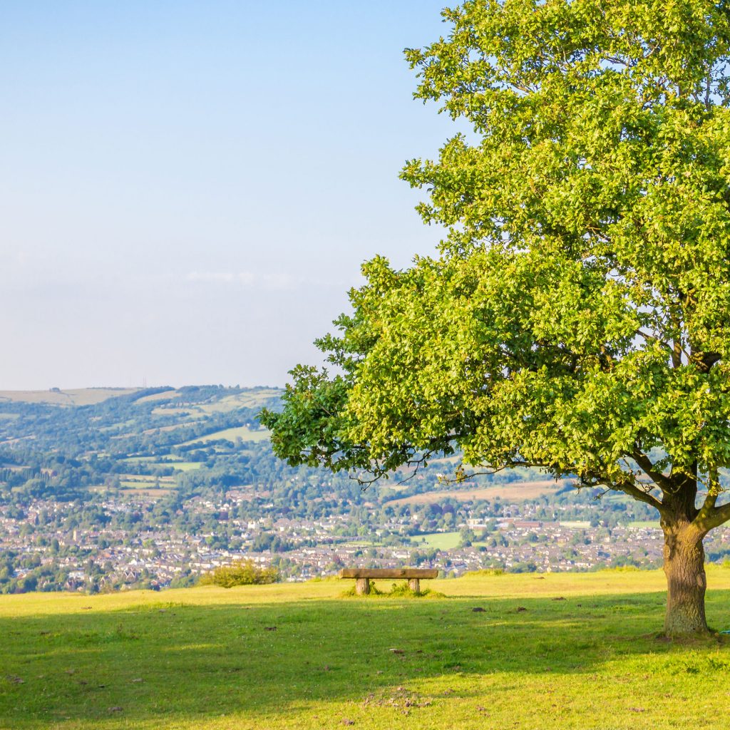 Cleeve Hill viewpoint