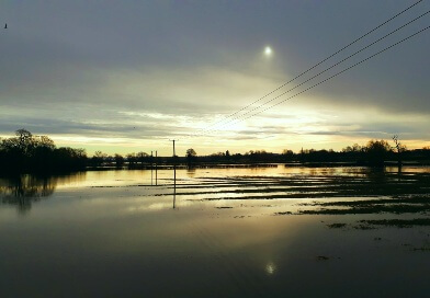 Flood on field