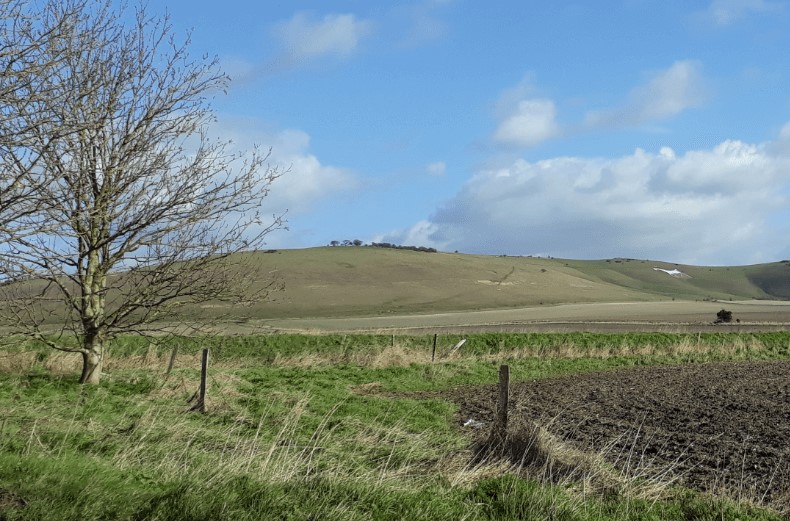 Natural England Monitoring & Evaluation Framework Research (2012-2025)