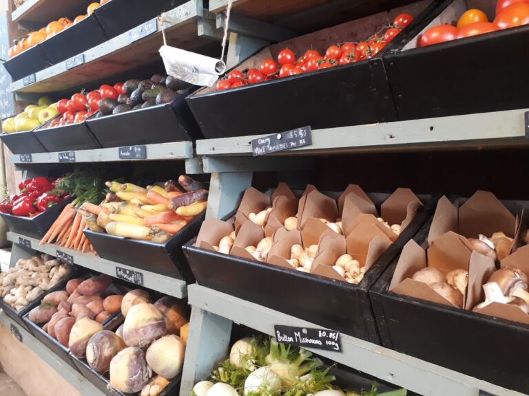 Vegetables on Shelves