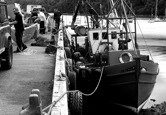 Busy Quayside - Fisherman and Boats