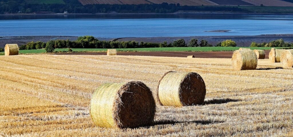 Hay Bales Coast